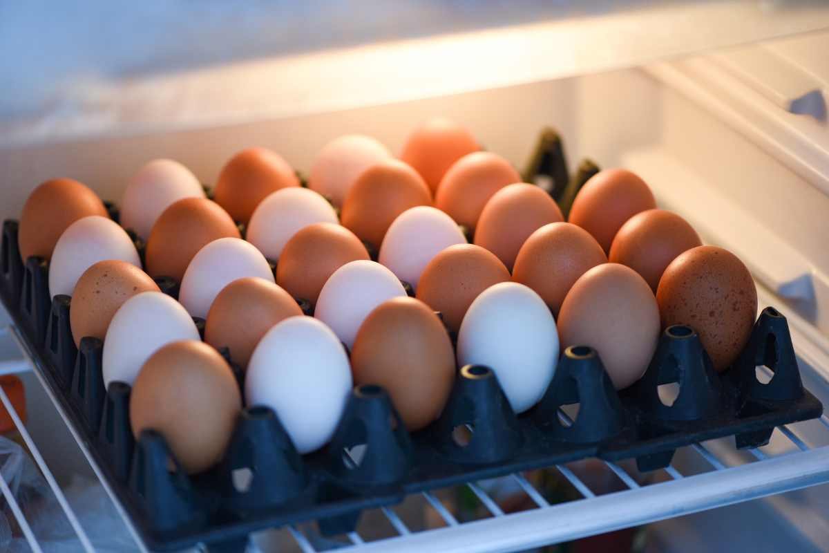 Uova conservate frigo: perché